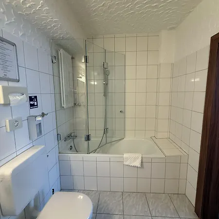 Отель Und Restaurant Loewenbraeu 3*